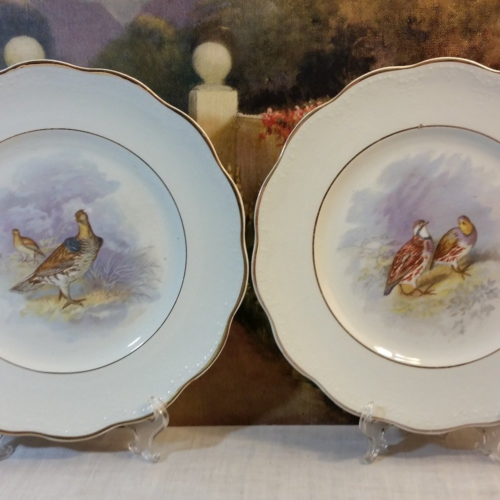 Dresden Semi-Porcelain (2) Bird Game Plates 9"
